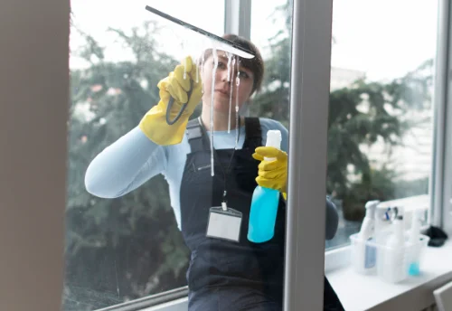 Nettoyage de vitres intérieures et extérieures à Rochebrune